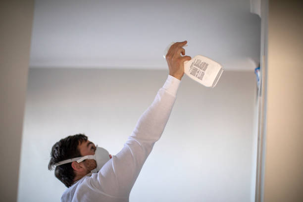 Best Black Mold Remediation in Irving, TX