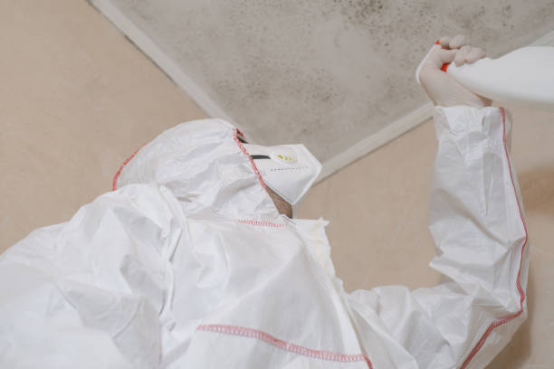 Irving, TX Mold Remediation Company