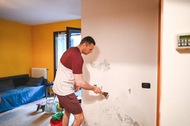  Irving, TX Mold Removal Pros